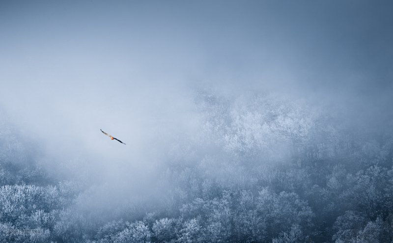 крым, зеленогорье, зима Полетphoto preview