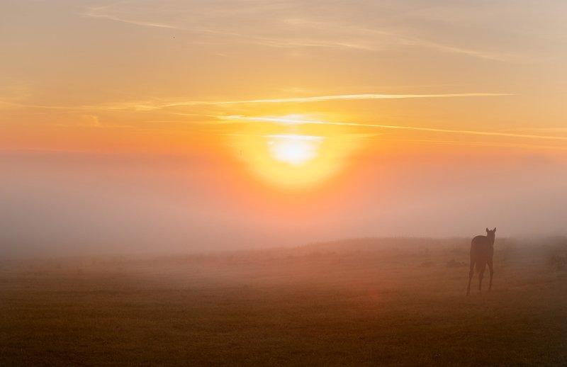 На рассветеphoto preview