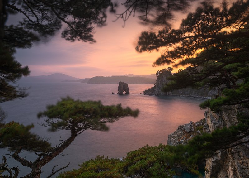 The Pine Stormphoto preview