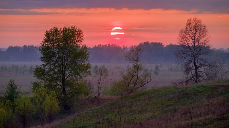 На утренней зорьке...photo preview
