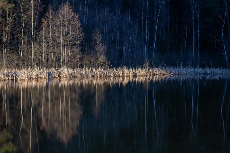 Встретились ночь и деньphoto preview