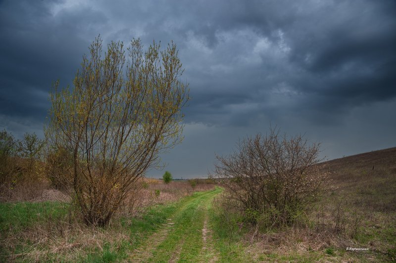 Перед грозой...photo preview