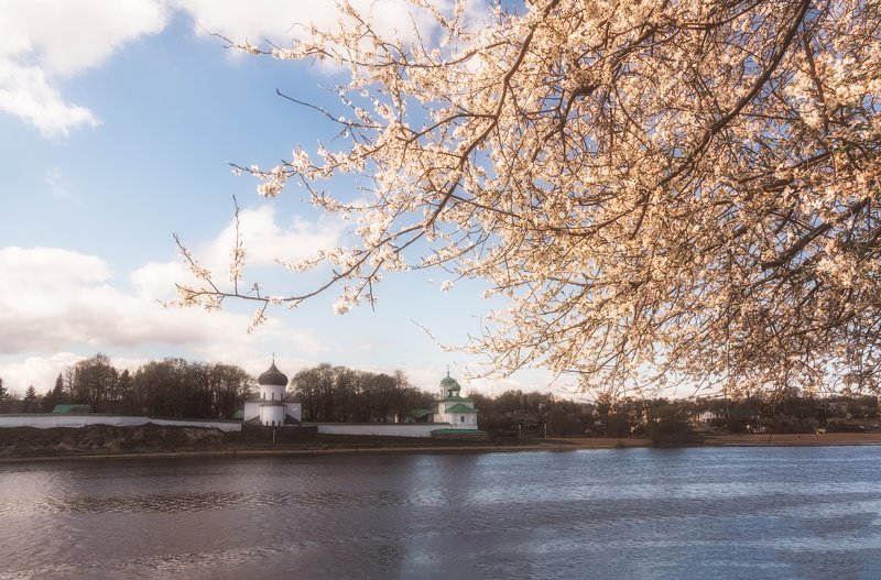 псков Майphoto preview