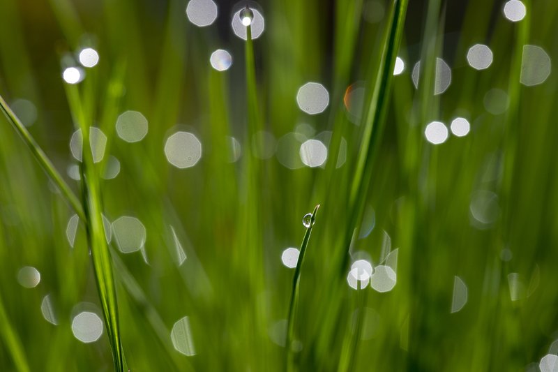 швеция Минимализм в природеphoto preview