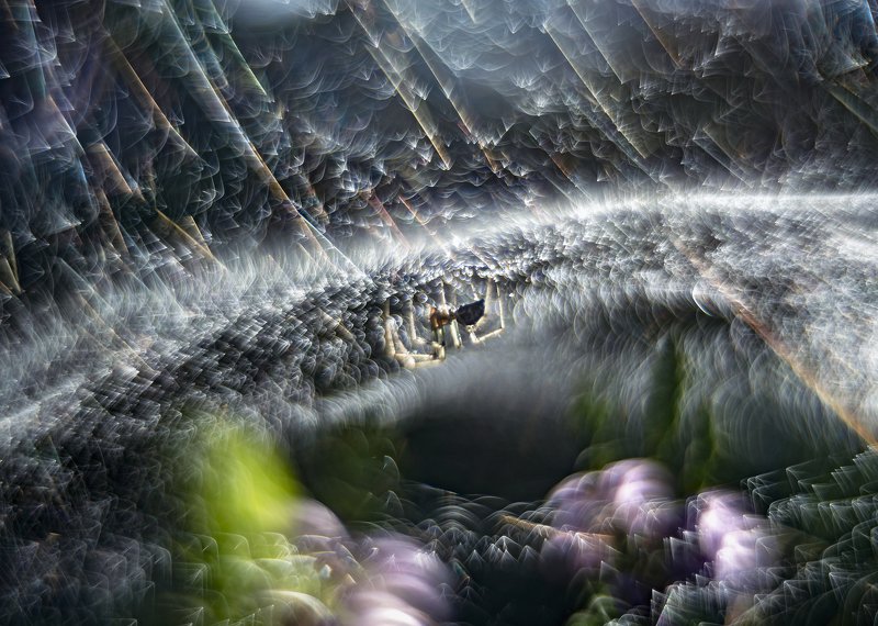 spider, bokeh, web, nature, macro, vintage lens, abstract, spiderphoto preview