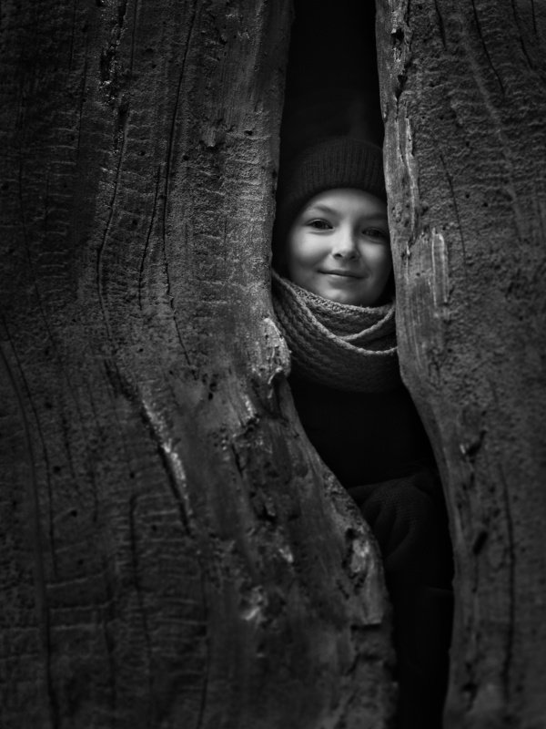 Ствол с секретомphoto preview