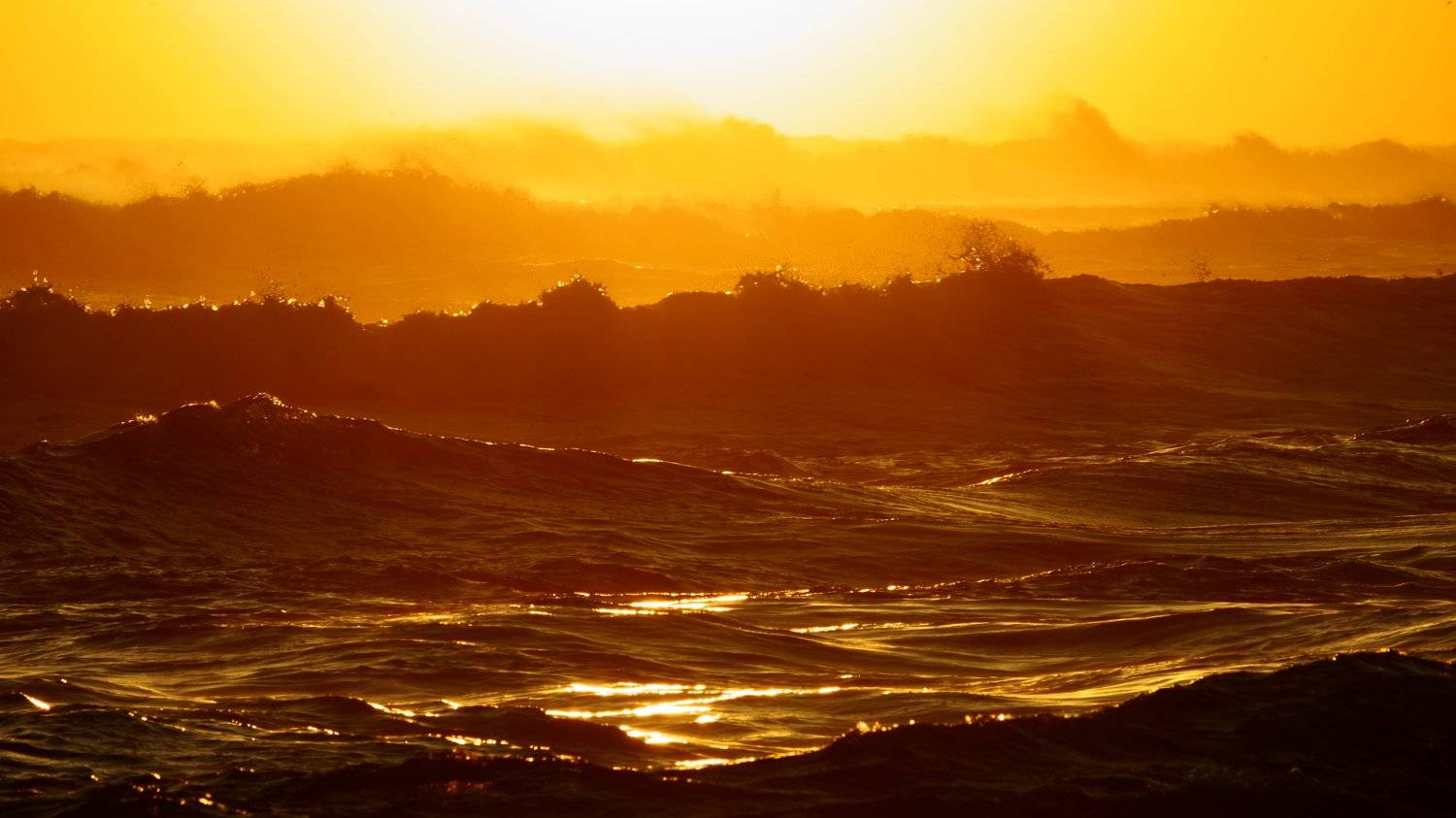 Waves of backlight. Автор: Shin south korea,kangwondo,winter,sea,seascape,sun,horizontal,wave,backlight,sunrise,wind, Shin
