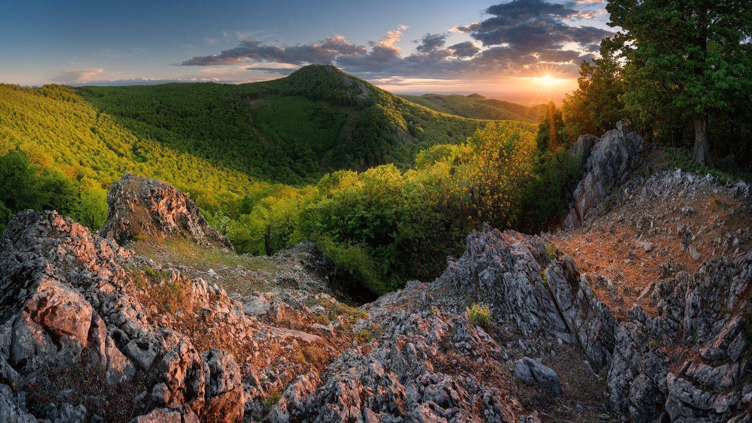 From the sunny hill. Автор: Radoslav Cernicky , Radoslav Cernicky