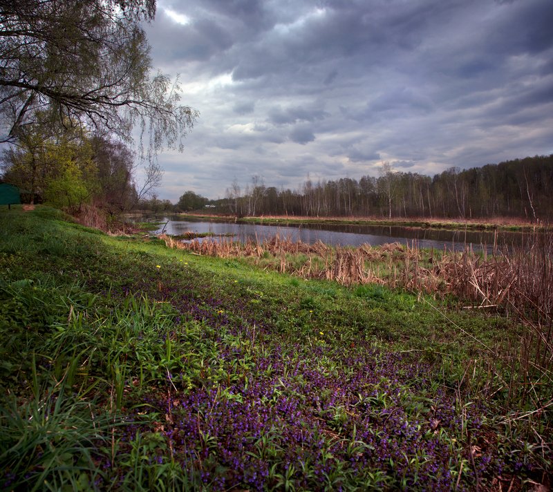 подмосковье, королев Прогулка по Клязьмеphoto preview