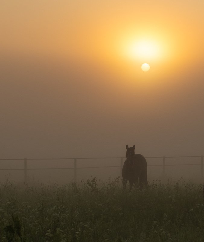 Тишинаphoto preview