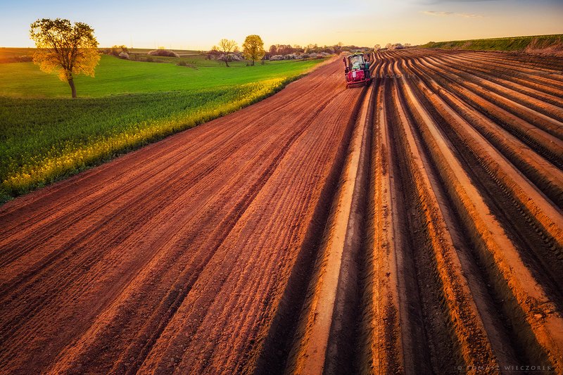 poland, polish, landscape, sunrise, sunset, colours, awesome, amazing, adventure, travel, beautiful, light, field, tractor, tree, work, village, countryside Spring worksphoto preview