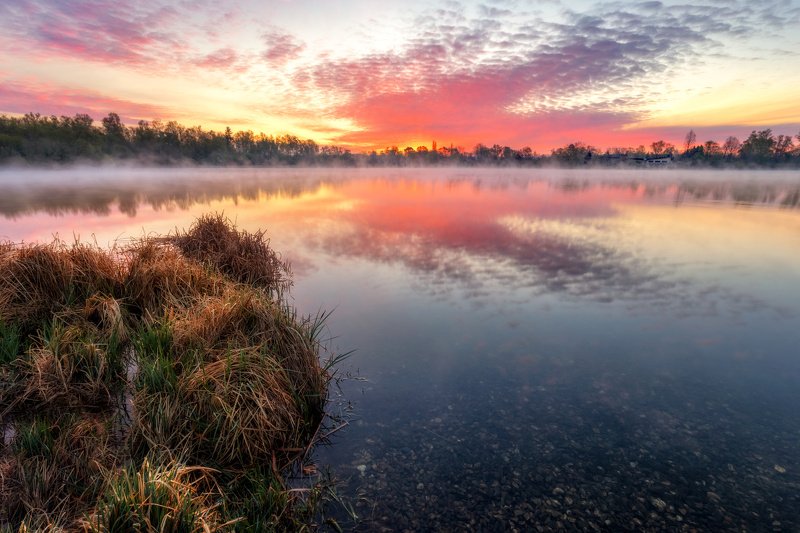 landscape, tree, sunrise, panorama, fog Spring Morning in the Poděbradyphoto preview