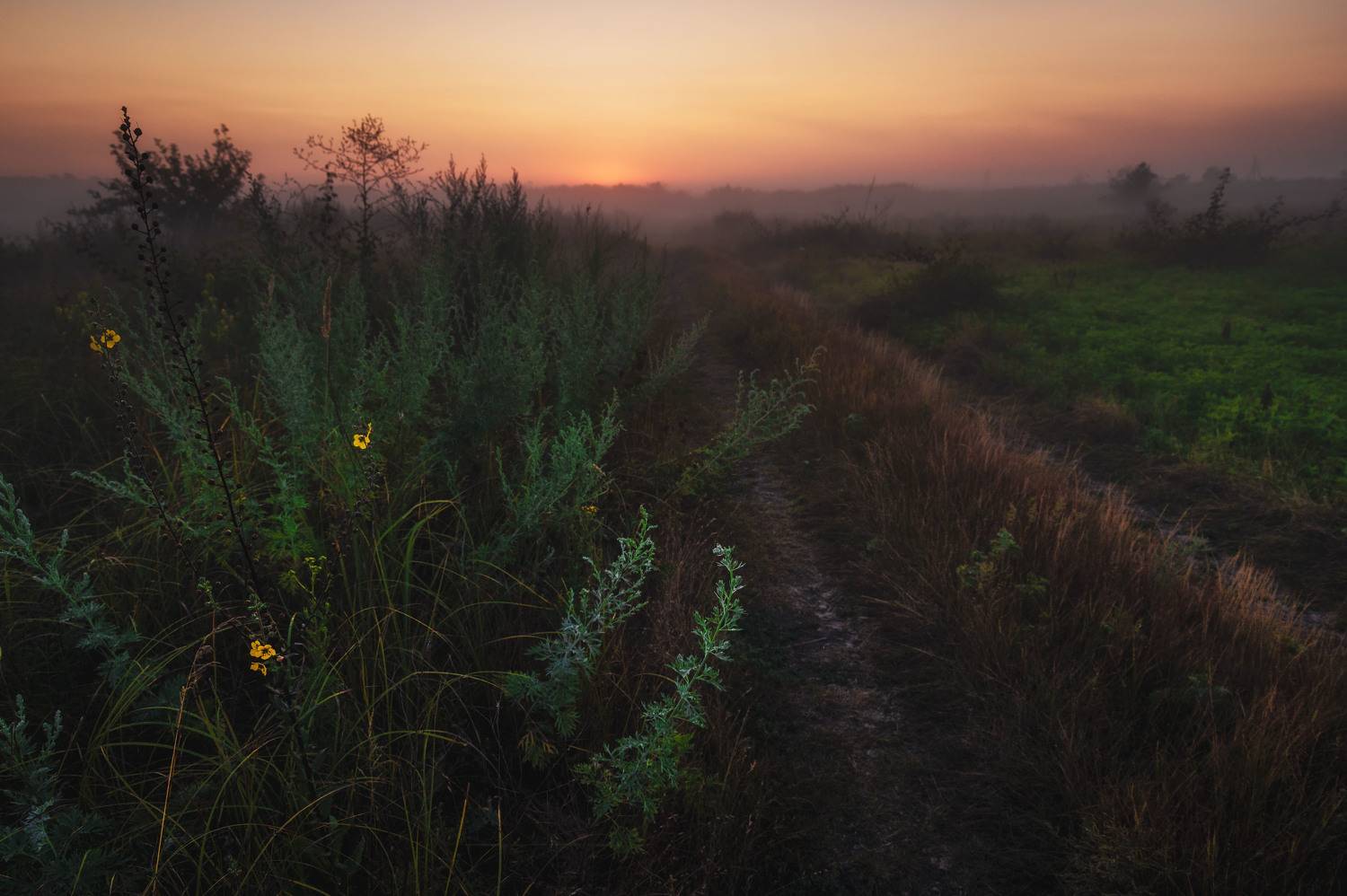 Dawn in the steppe.. Автор: Егор Бугримов steppe dawn sunset spring sun landscape nature, Егор Бугримов