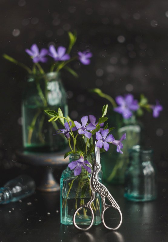 боке, натюрморт, фиолетовый, цветы, бутылка, стекло, красивый, прозрачный, блики, still life Фиолетово-серыйphoto preview