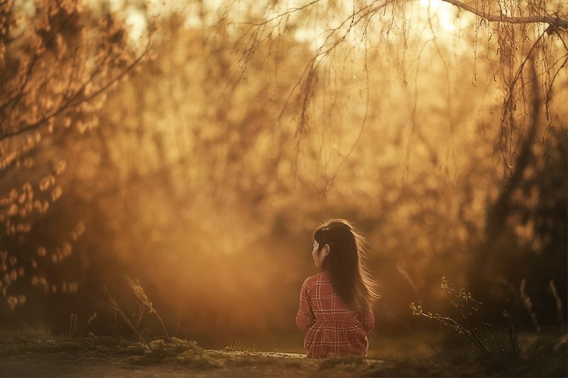 На закатеphoto preview