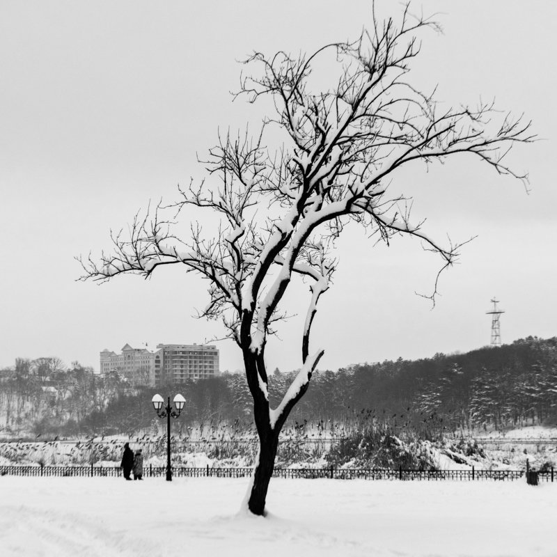 Зимняя зарисовкаphoto preview