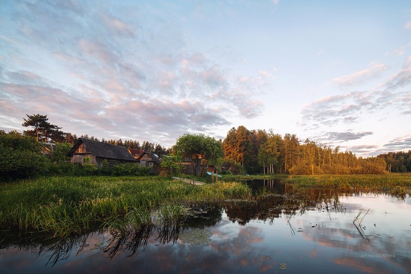 лето утро деревня лес вода отражение Летняя пасторальphoto preview