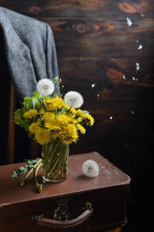 Одуванчикиphoto preview