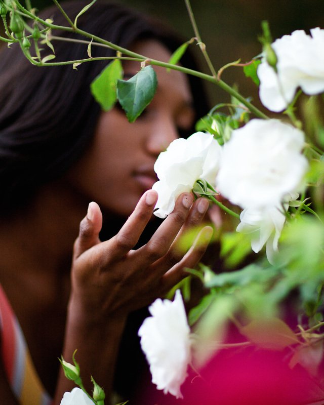 sergioartg Rising flower.photo preview