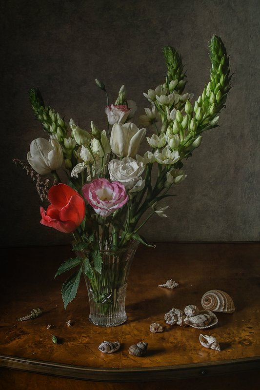 натюрморт, цветы, ракушки Цветы и ракушкиphoto preview
