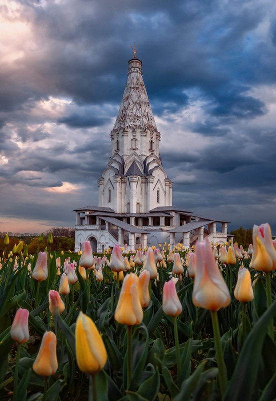 коломенское, весна, москва, тюльпаны, цветы, Коломенскоеphoto preview