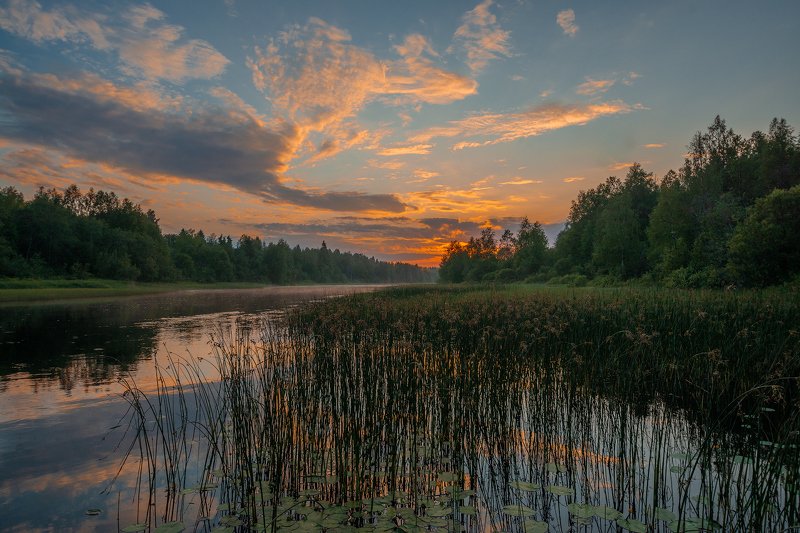 великий двор,вологодчина,кема,север,лето, Вечерело.photo preview