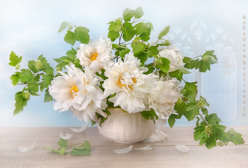 пионы,цветы,букет Пионовая красотаphoto preview