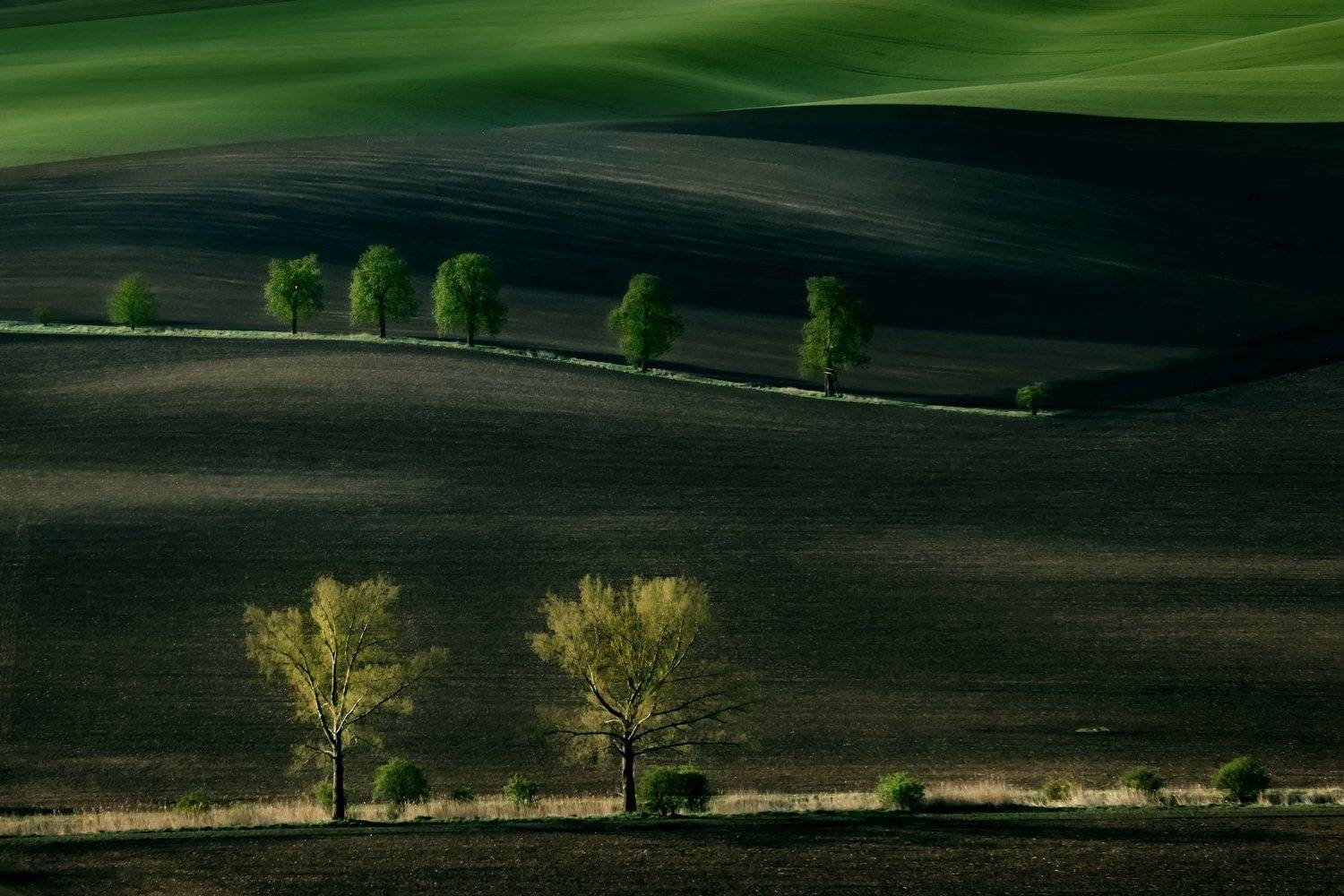 Czech fields. Автор: Татьяна Ефименко south moravia, южная моравия, hils, линии, south moravian, czech, landscapes, южноморавский край, things to do in south moravian region, Татьяна Ефименко