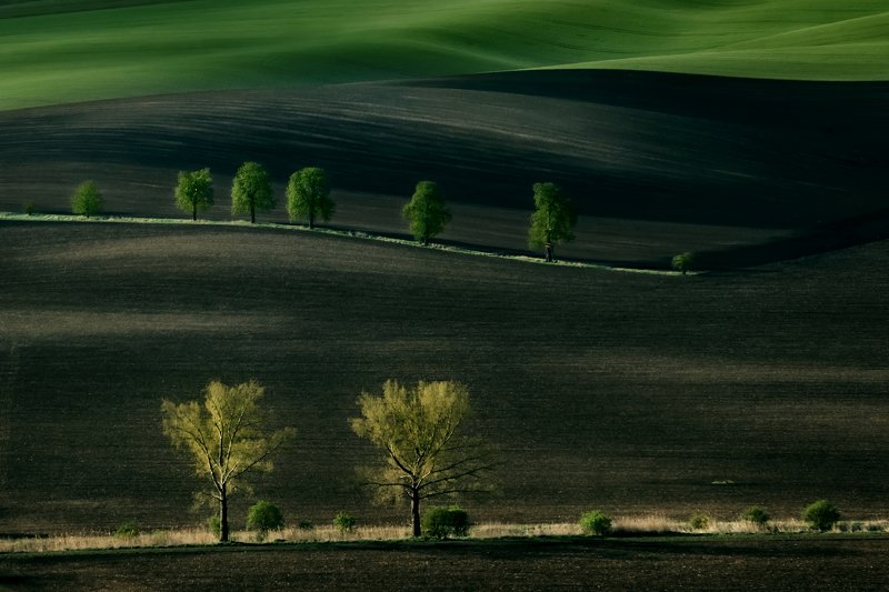 south moravia, южная моравия, hils, линии, south moravian, czech, landscapes, южноморавский край, things to do in south moravian region Czech fieldsphoto preview