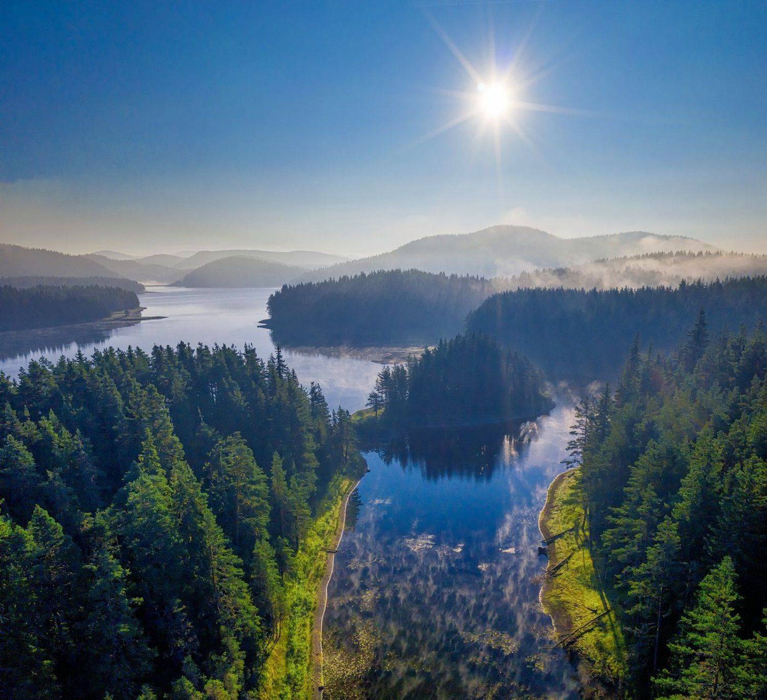 In the morning ||. Автор: Тодор Божков , Тодор Божков