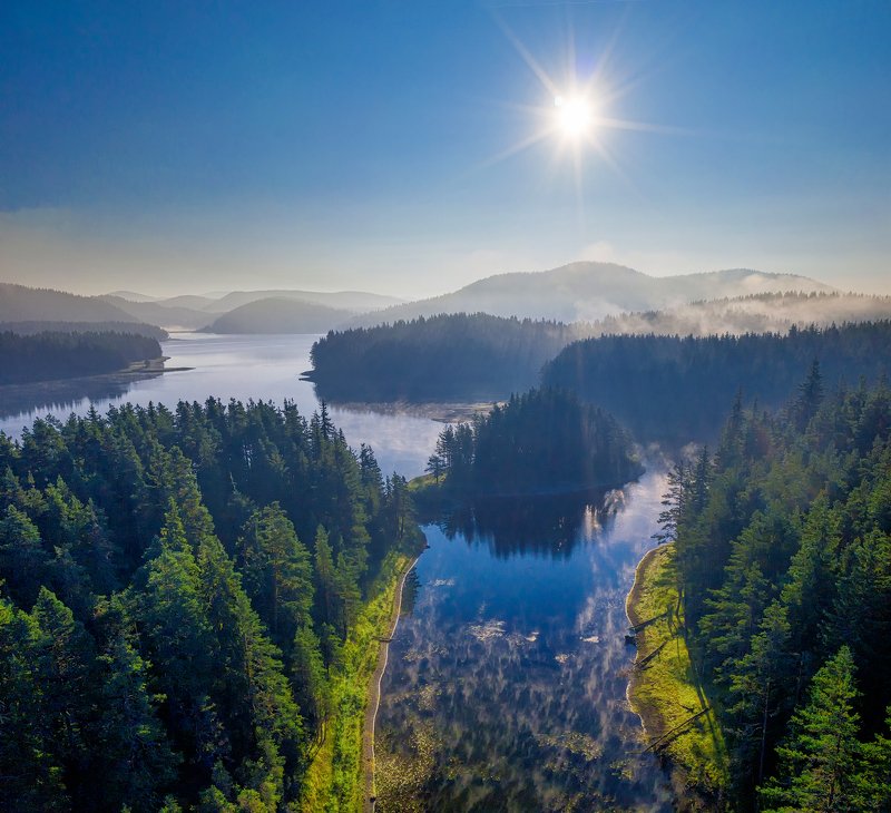 In the morning ||photo preview