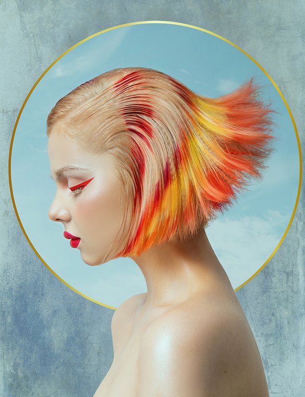 Firebirdphoto preview