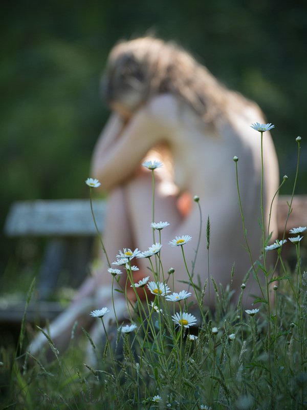 female, woman, nude, beauty, sensual,  женщина, обнаженный,  красота, чувственность, женщина Ballerina and daisiesphoto preview