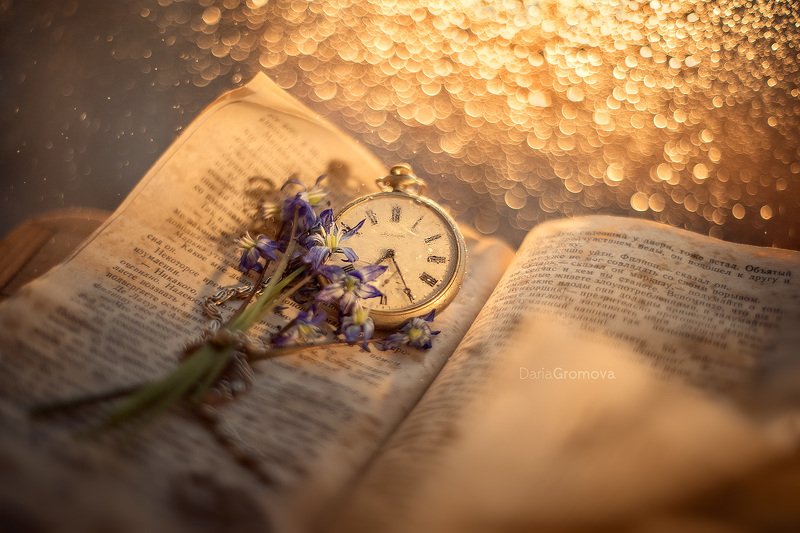 портрет, женский, портрет, дарья громова, фото, фотограф, фотосессия, фотоарт, фотопортрет, часы, время, книга, закат Время волшебстваphoto preview