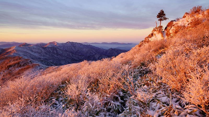 south korea, jeollabukdo, winter, fog, tree, mountain, rime ice, sunlight, cloud, morning light, landscape, Winter morning sunlightphoto preview