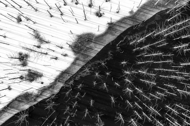 #air #aerial #drone #nature #blackandwhite #abstract #lake #trees #forest #romania #winter #ice #snow #deadtrees Yin and Yangphoto preview