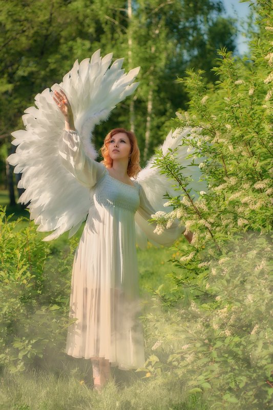 Черёмуховый ангелphoto preview