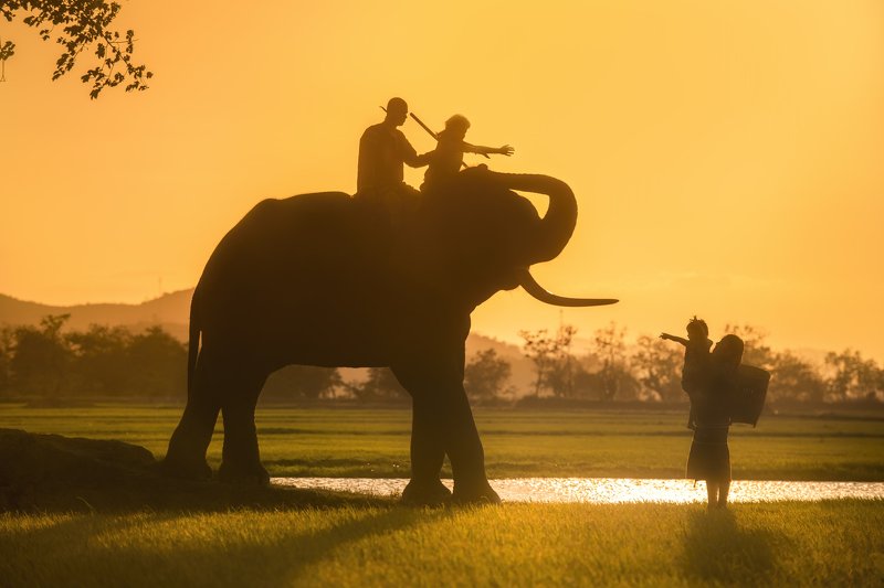 Return home photo preview