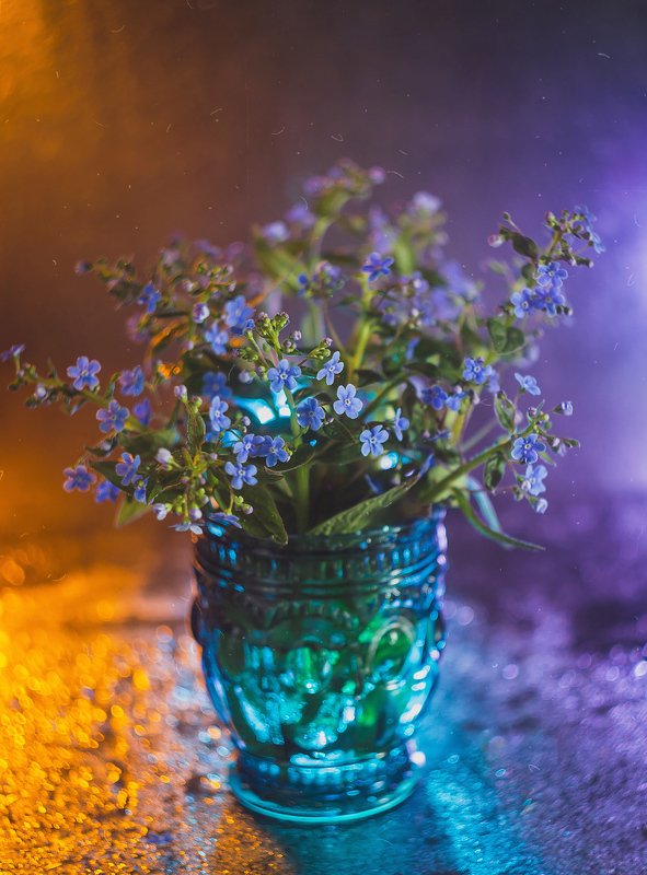 боке, натюрморт, фиолетовый, цветы, бутылка, стекло, красивый, прозрачный, блики, still life Цветные сныphoto preview