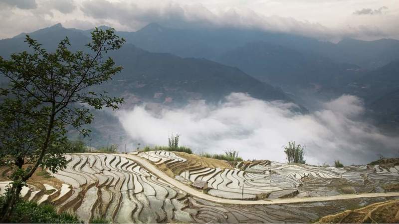 Y Ty, Vietnamphoto preview