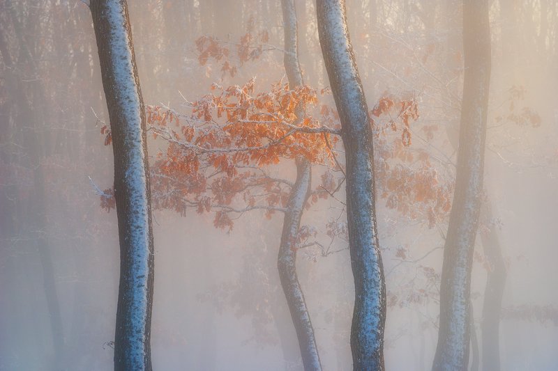 Thin airphoto preview