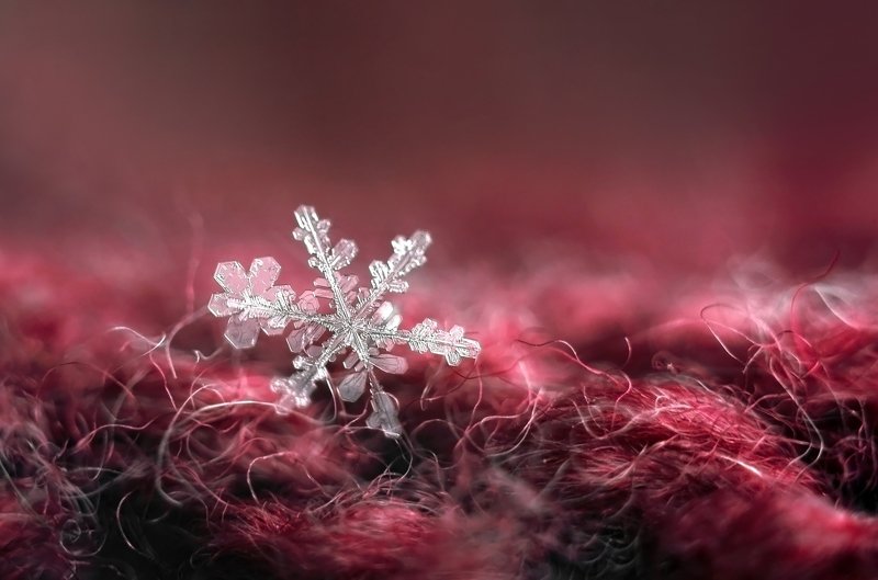 макро, макро мир, снежинки, зимнее макро, волшебство, макросъемка, снег, снежинка, Зимнееphoto preview