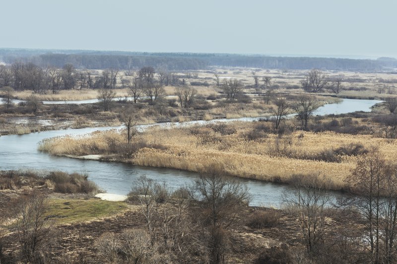 Ранняя весна.photo preview