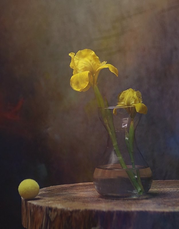 martwa  natura, wiosna, bukiet, irysy, z irysamiphoto preview