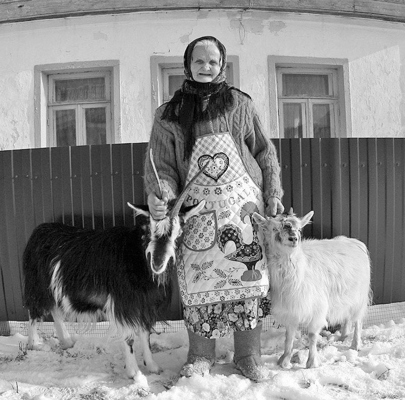 деревня Кормилицы... мои!photo preview