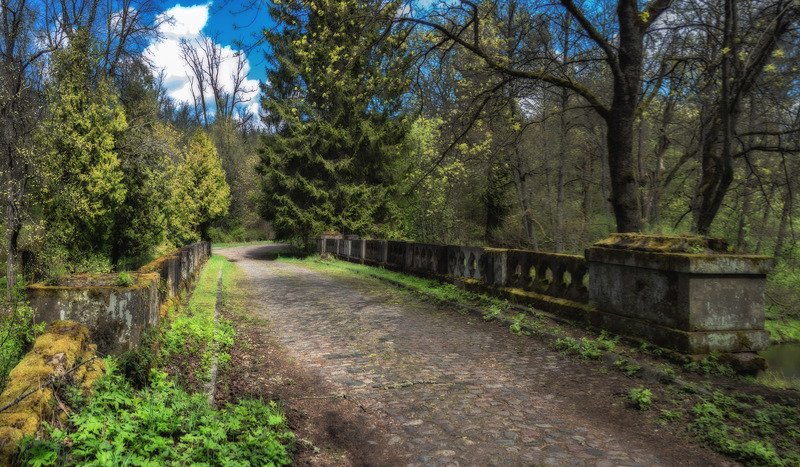 Олений мост.photo preview