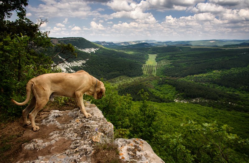 Серия Крымphoto preview