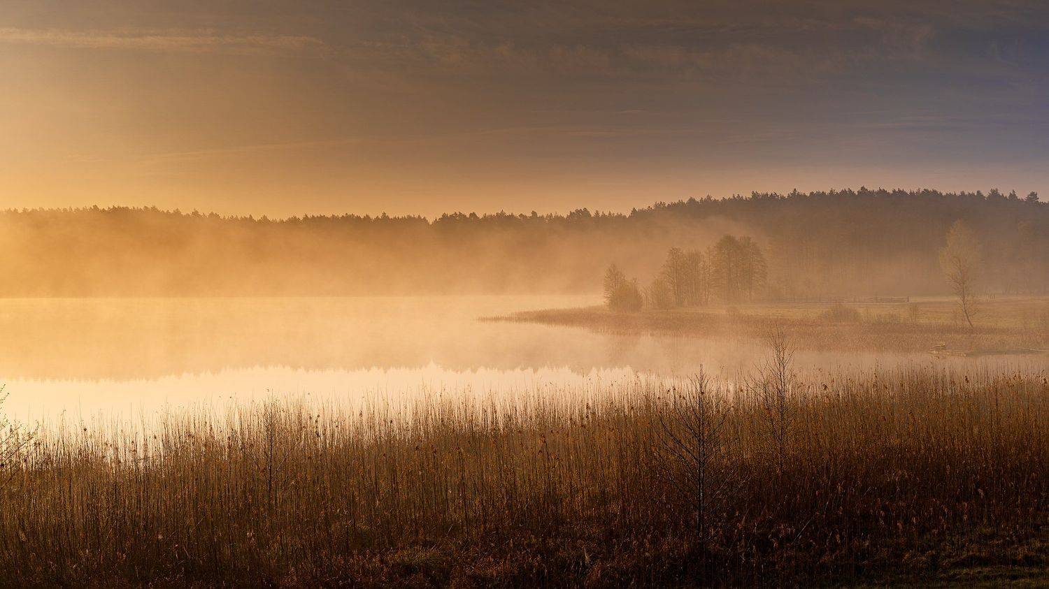 Jezioro Wieckie. Автор: Marian Lubawski , Marian Lubawski