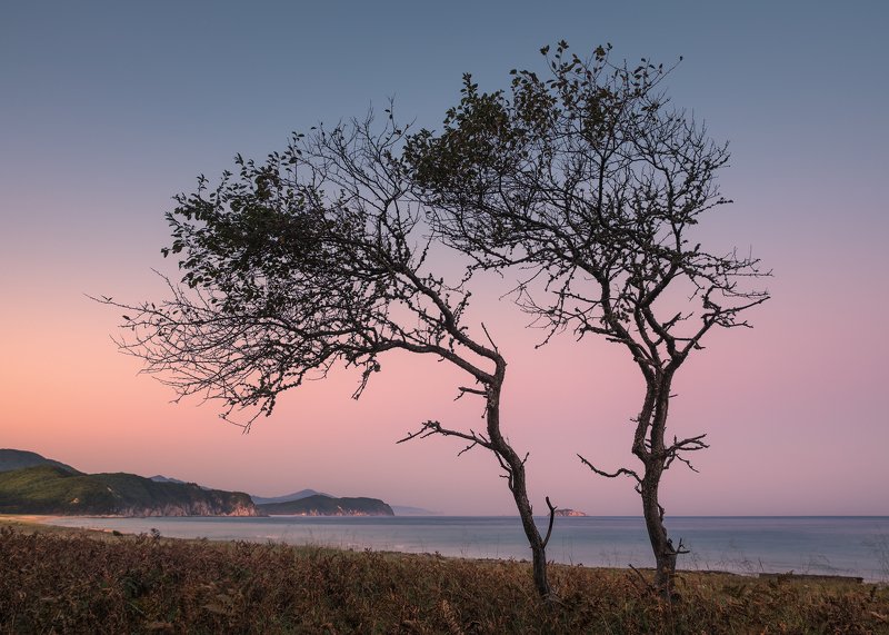 Two Sistersphoto preview