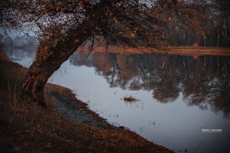 park, walking, alone, outside, landscape, evening, sunset, lake, relax, calm Walking in parkphoto preview